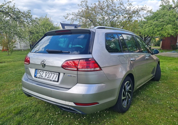 Volkswagen Golf cena 59000 przebieg: 50517, rok produkcji 2018 z Pniewy małe 211